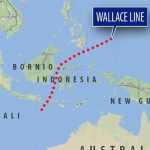 Rawatan Baharu Ini Mungkin Boleh Pulihkan Diabetes Jenis 1 Kronik, Kata Kajian