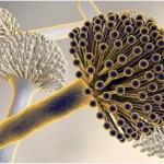 Ubat HIV Mungkin Bantu Kurangkan Risiko Alzheimer, Kajian Terkini Dedah Potensi Menakjubkan